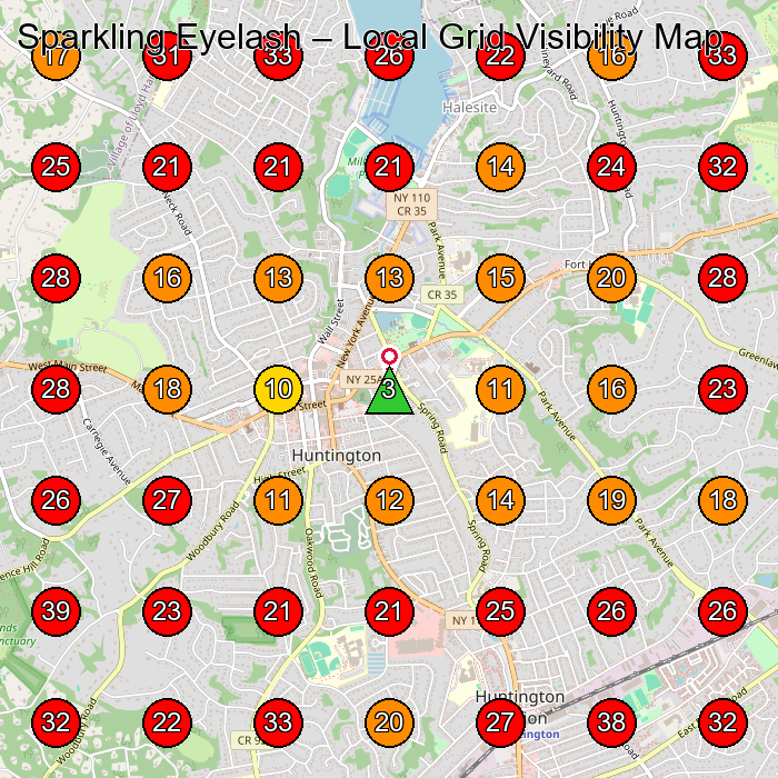 Sparkling Eyelash GeoGrid visibility map for Beauty Salon in Huntington